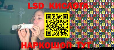 сатива Бердск