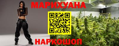 сатива Бердск