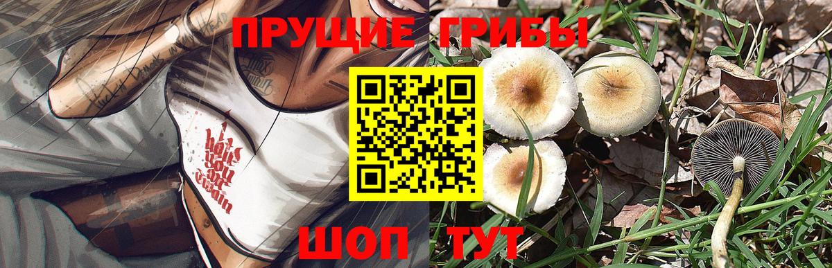 закладки  Галлюциногенные грибы Psilocybe  Вход с VPN  Азнакаево  Галлюциногенные грибы Psilocybe 