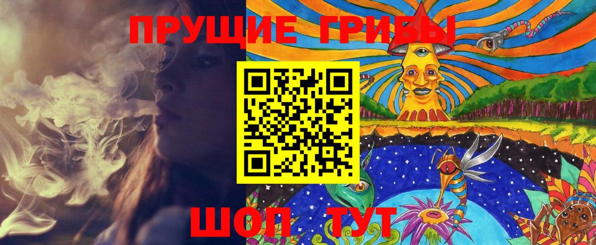 Псилоцибиновые грибы MAGIC MUSHROOMS Азнакаево